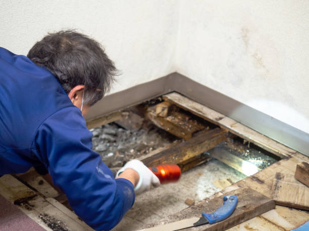 Water Damage Restoration in Harrisburg, OR