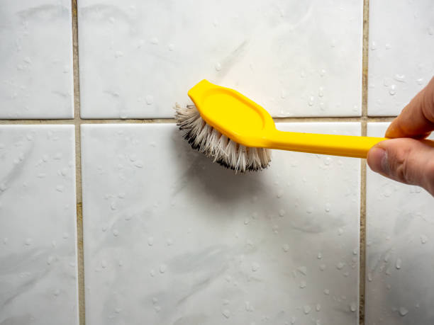 Best Certified Mold Removal  in Harrisburg, OR
