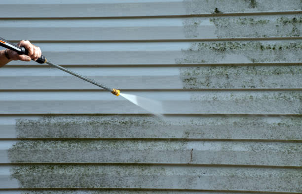 Best Emergency Mold Removal  in Harrisburg, OR