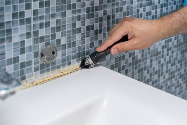 Best Best Mold Removal Companies  in Harrisburg, OR