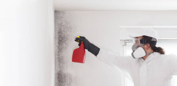 Best Residential Mold Removal  in Harrisburg, OR