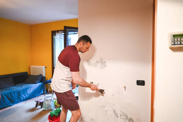 Best Water Damage Restoration  in Harrisburg, OR